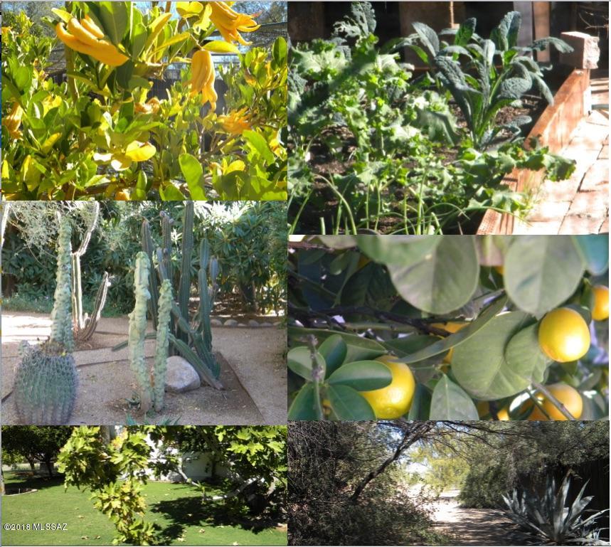 Linda Vista Citrus Tracts NO. 2 - Residential