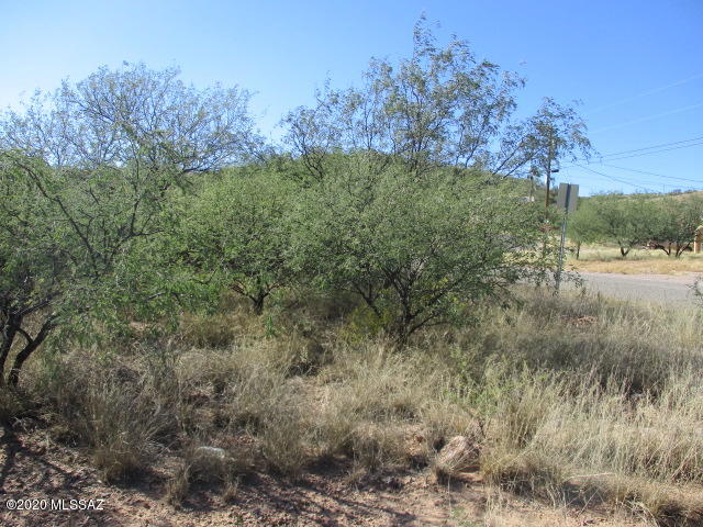 Rio Rico Villas - Land
