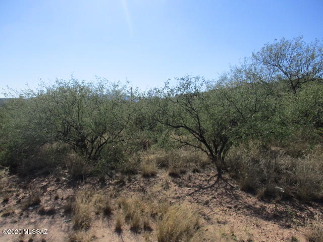Fantastic opportunity to build the home you always wanted! This plot of land sits just outside of Rio Rico and is close to schools. Come and see the site of your new dream home today!