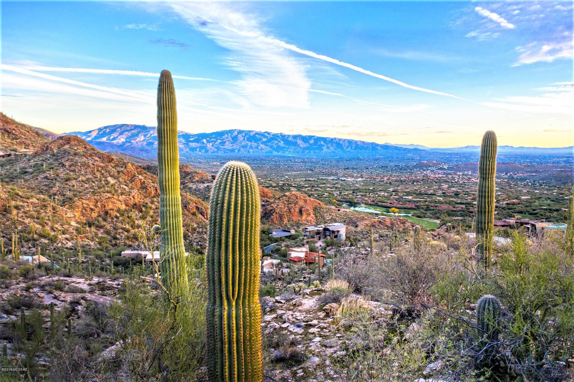 Ventana Canyon Mountain Estate (1-73) - Land
