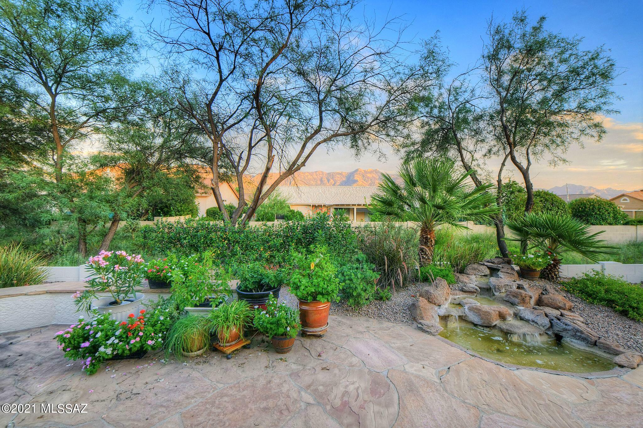 Saddlebrooke - Residential