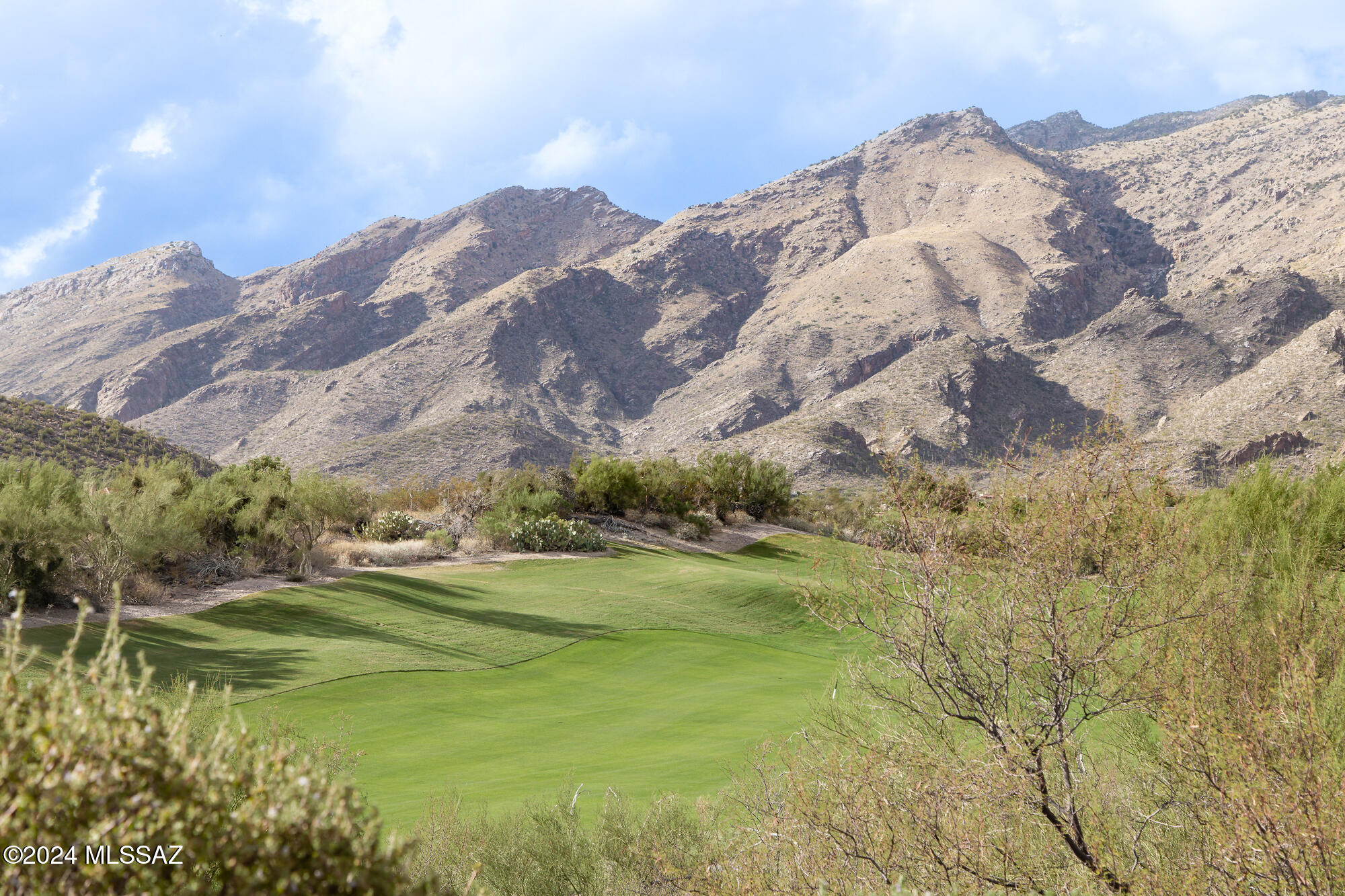 The Ridge At Ventana Canyon (1-63) - Residential