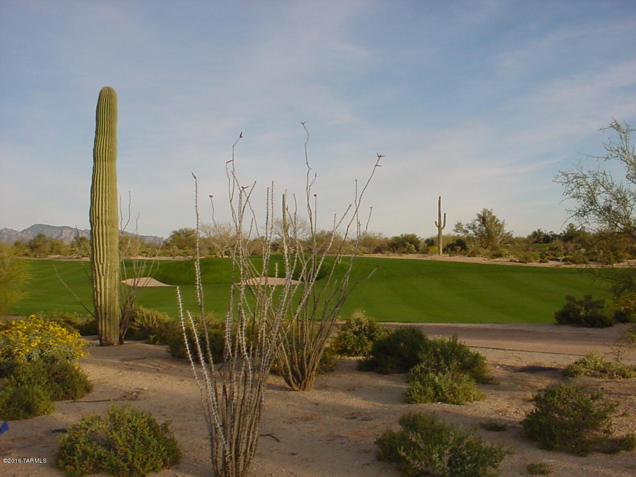 Dos Lagos at Dove Mountain (1-91) - Residential