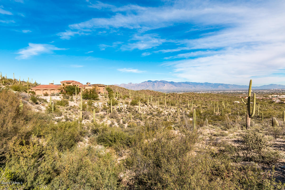 Estates at Starr Pass (The) - Residential