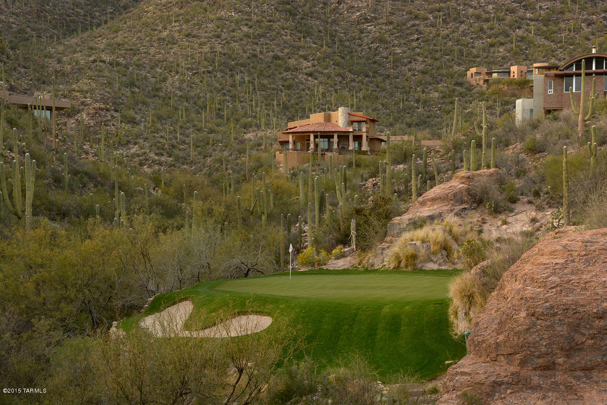 Ventana Canyon Mountain Estate (1-73) - Residential