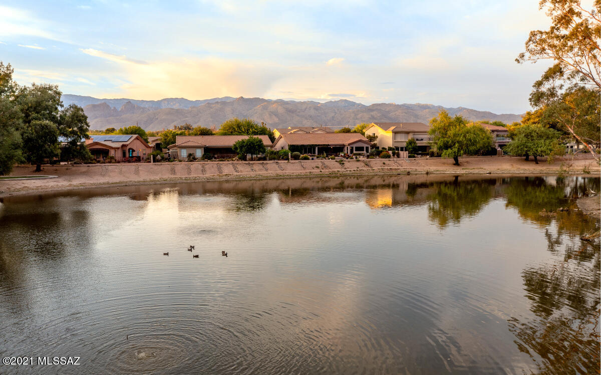 Lakes At Castle Rock (The) - Residential