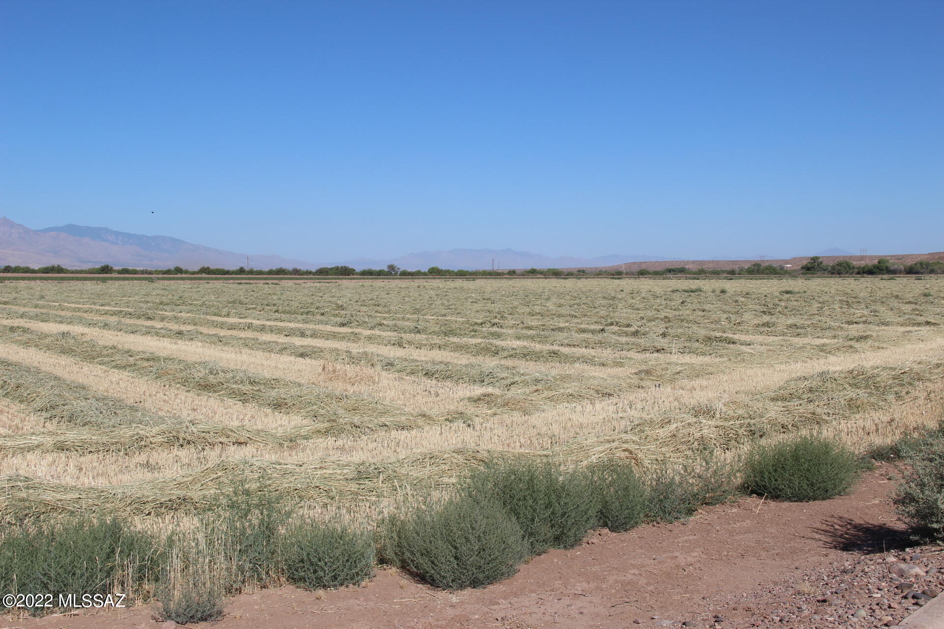 Out Of Pima County - Land