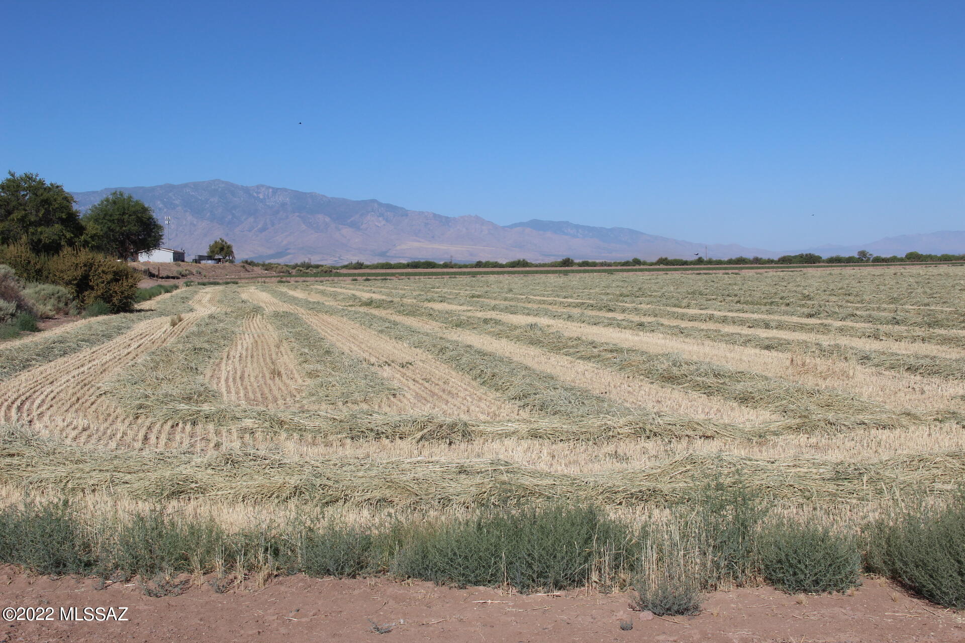 Out Of Pima County - Land