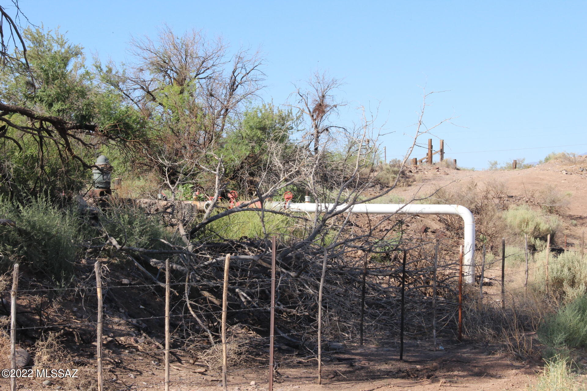 Out Of Pima County - Land