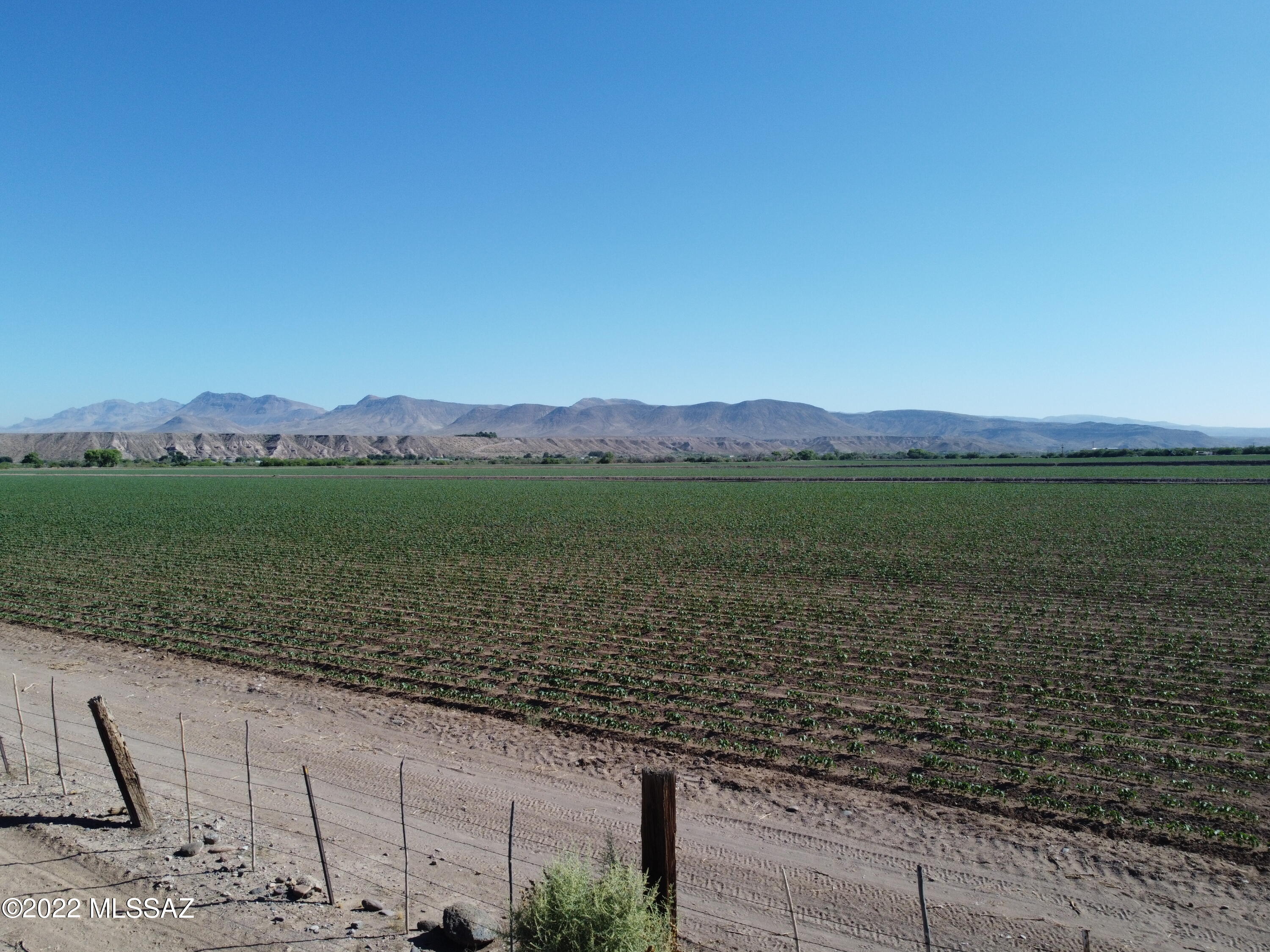 Out Of Pima County - Land