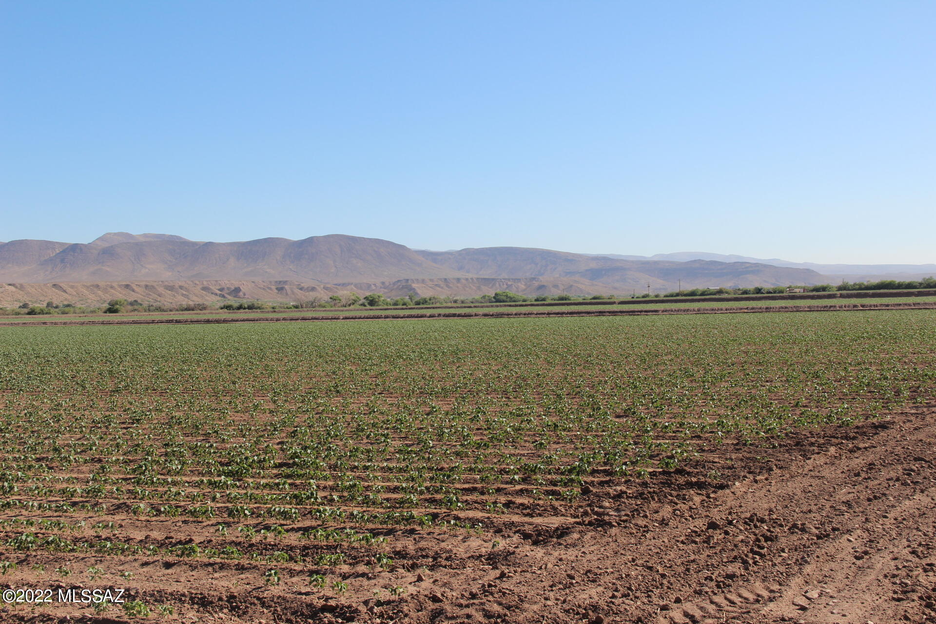 Out Of Pima County - Land