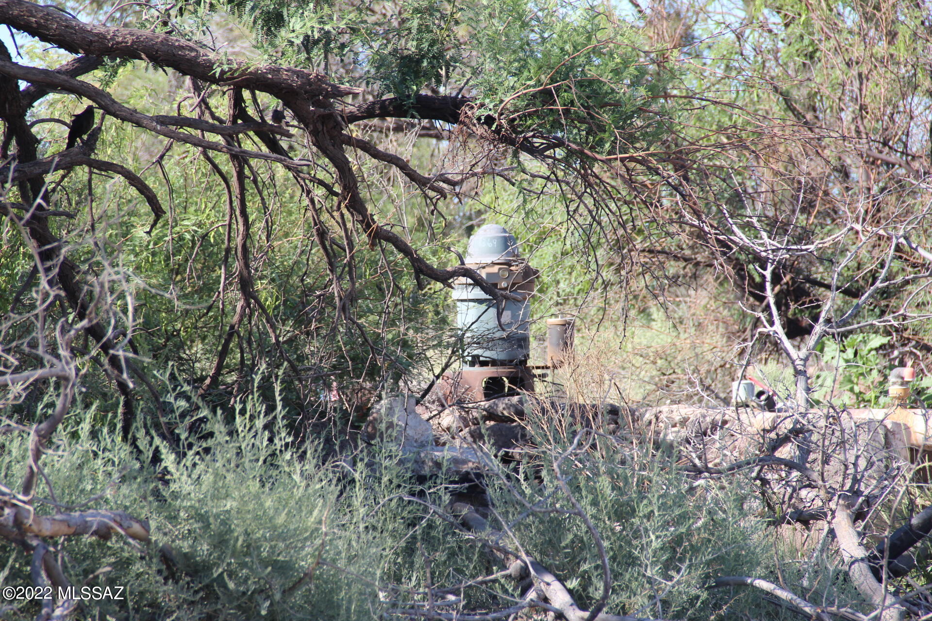 Out Of Pima County - Land