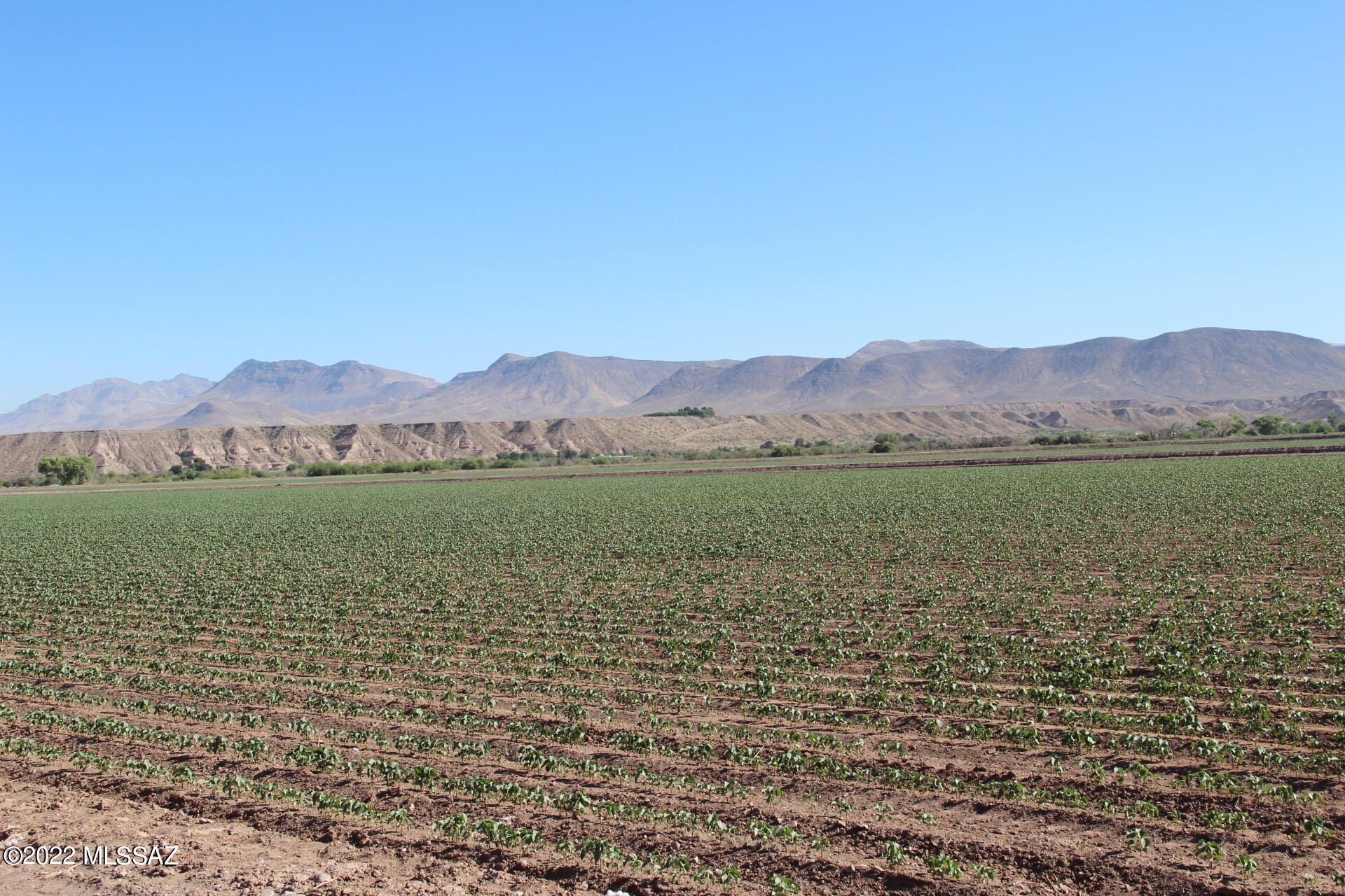 Out Of Pima County - Land