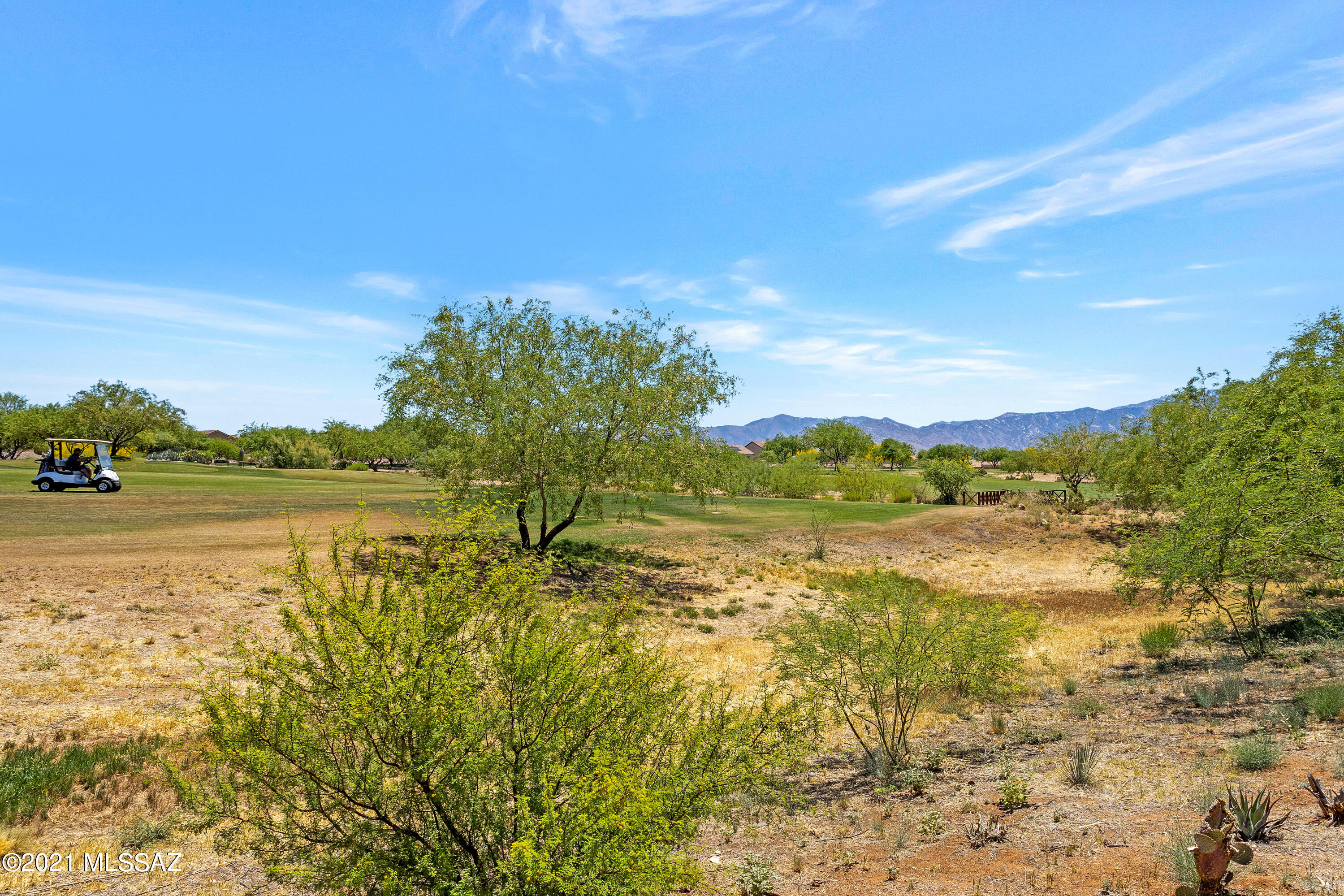 Saddlebrooke Ranch - Residential