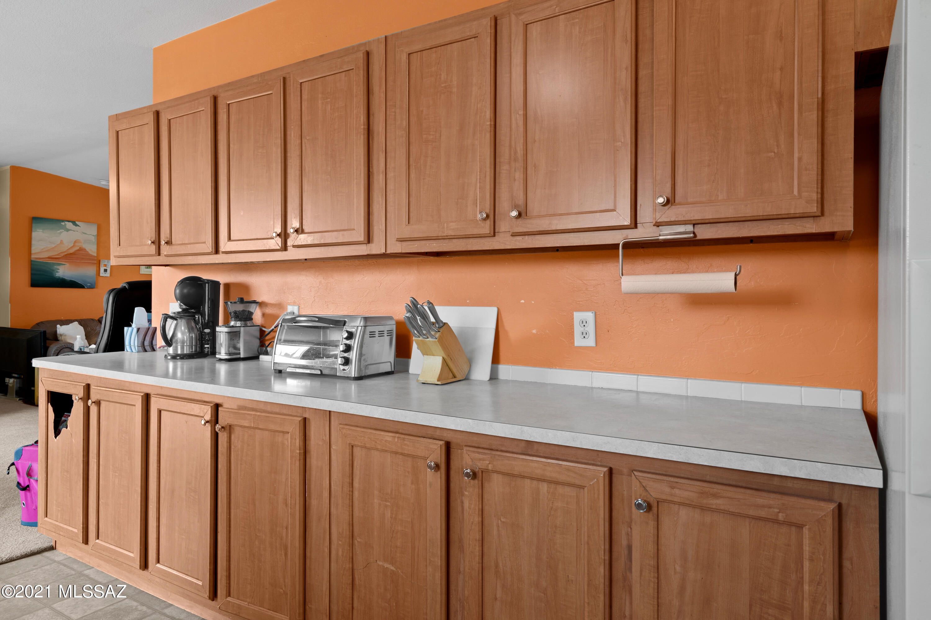 Tucson Saguaro Estates (1-67) - Residential
