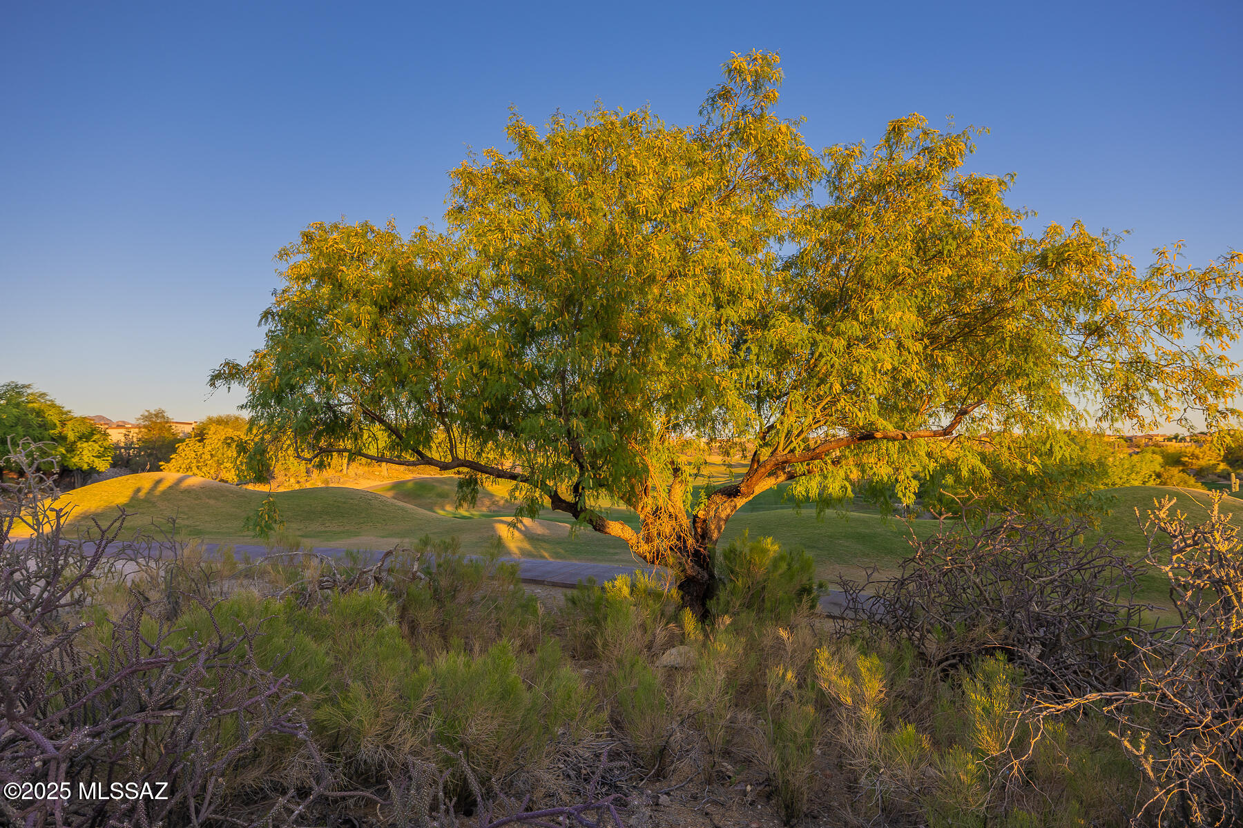 Villages Two & Four At Villages Of La Paloma - Residential