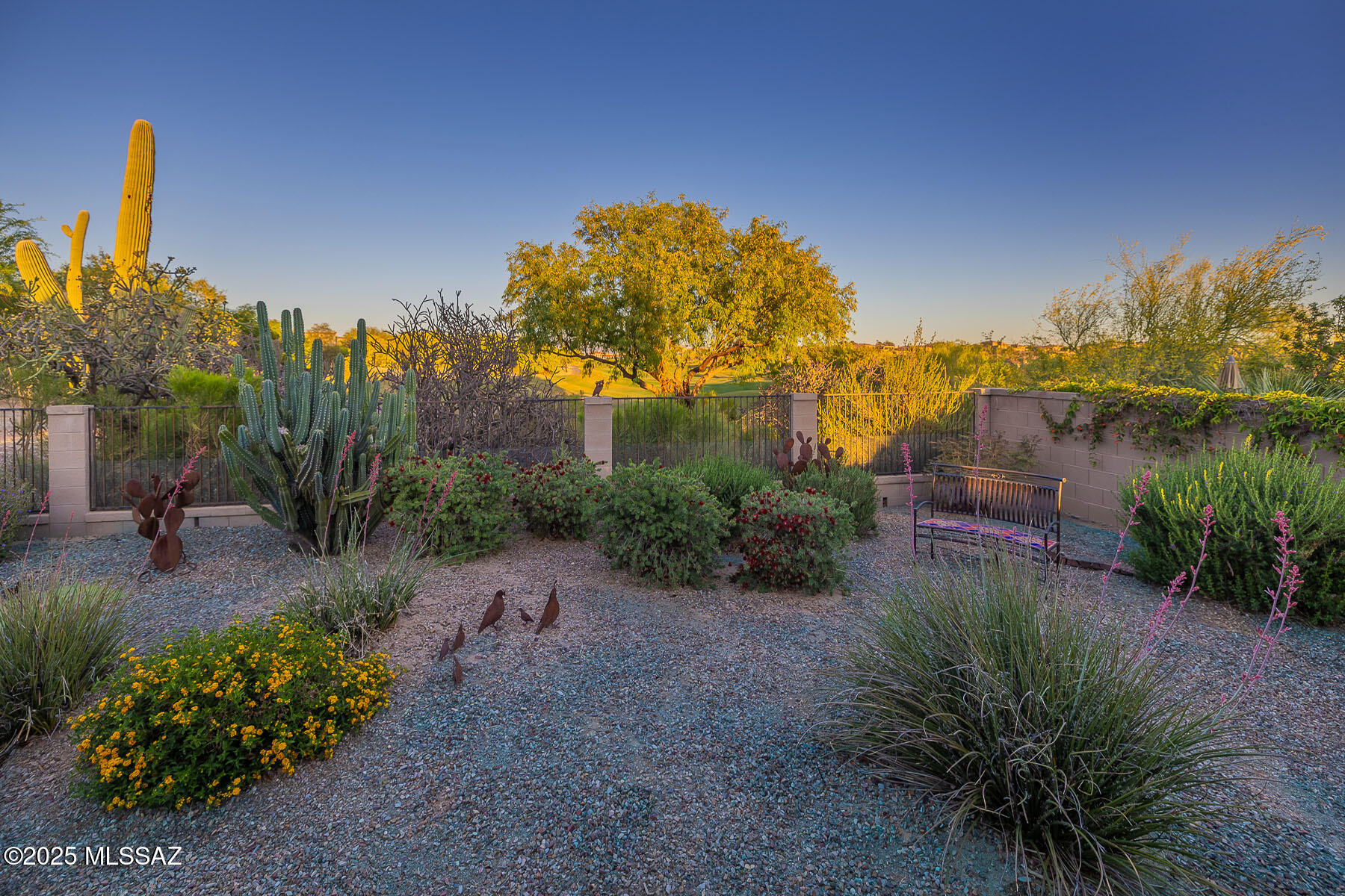 Villages Two & Four At Villages Of La Paloma - Residential
