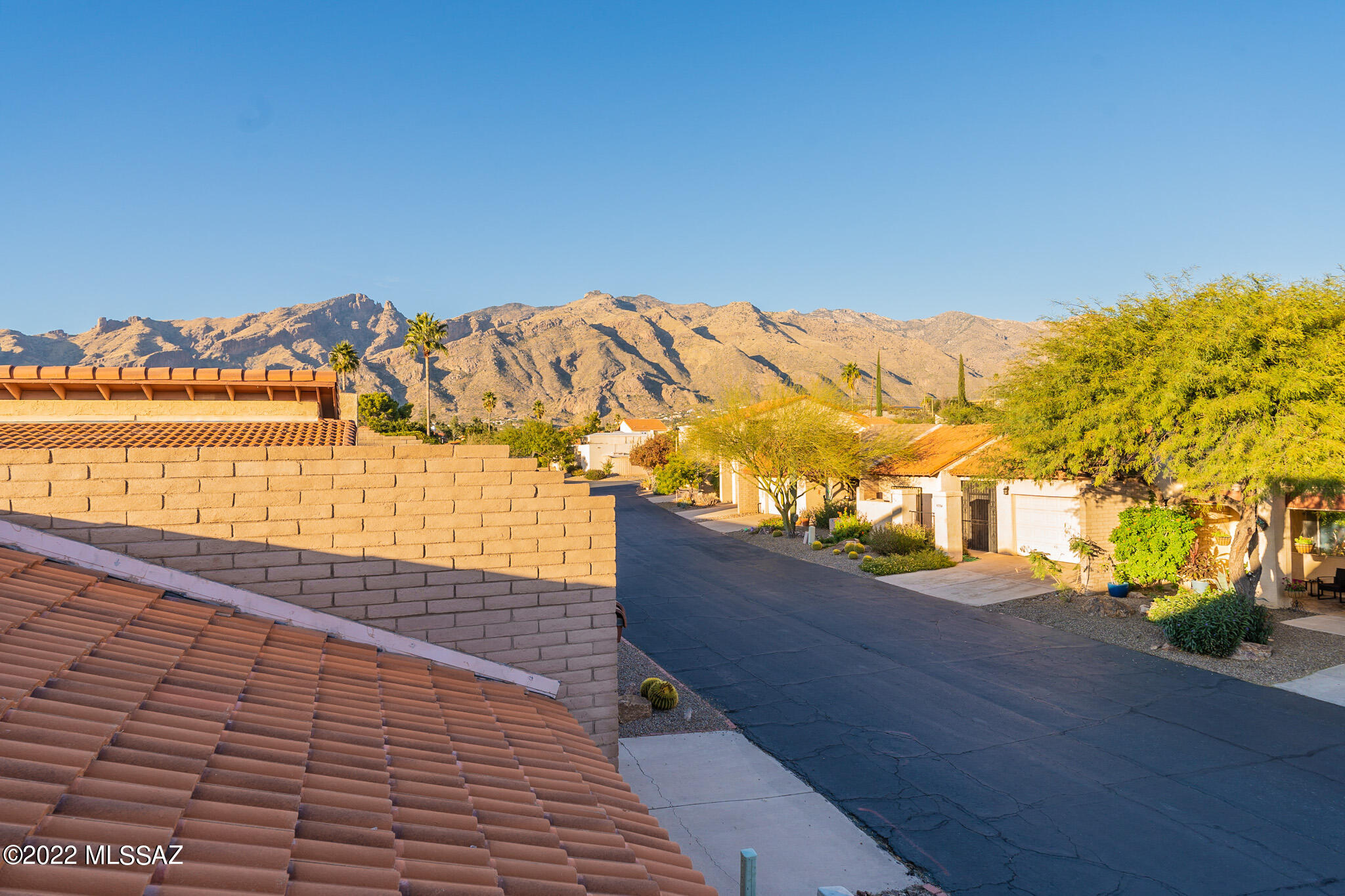 Catalina Del Rey (1-179) - Residential
