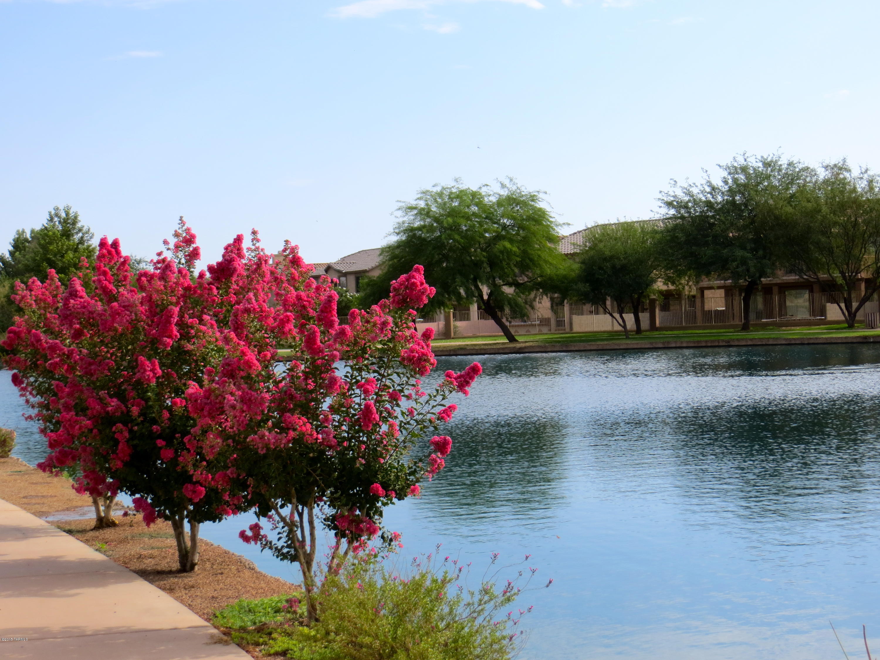 Presidio Del Valle (1-166) - Residential
