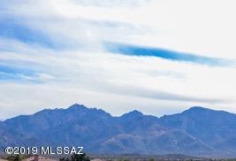 Sun City Vistoso Unit 7(1-227) - Residential
