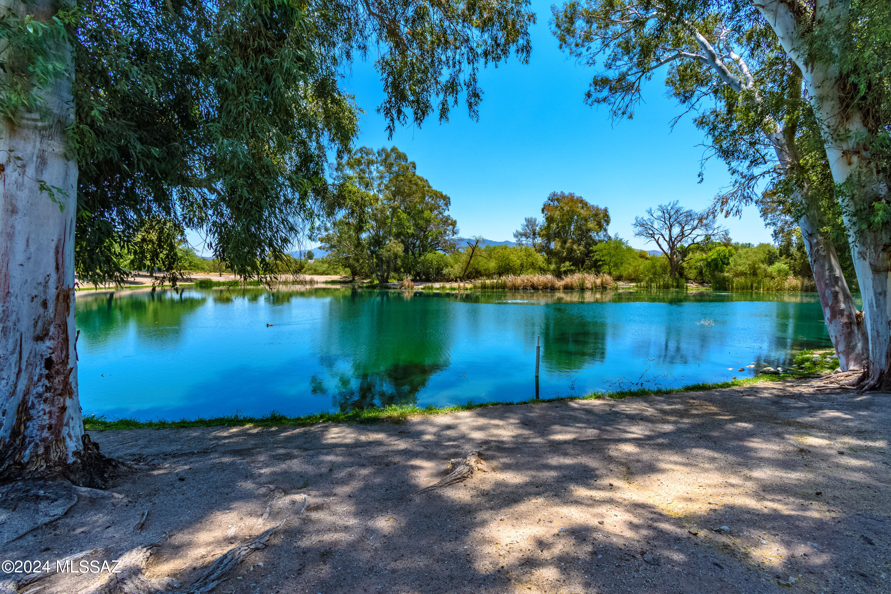 Lakes At Castle Rock (The) - Residential