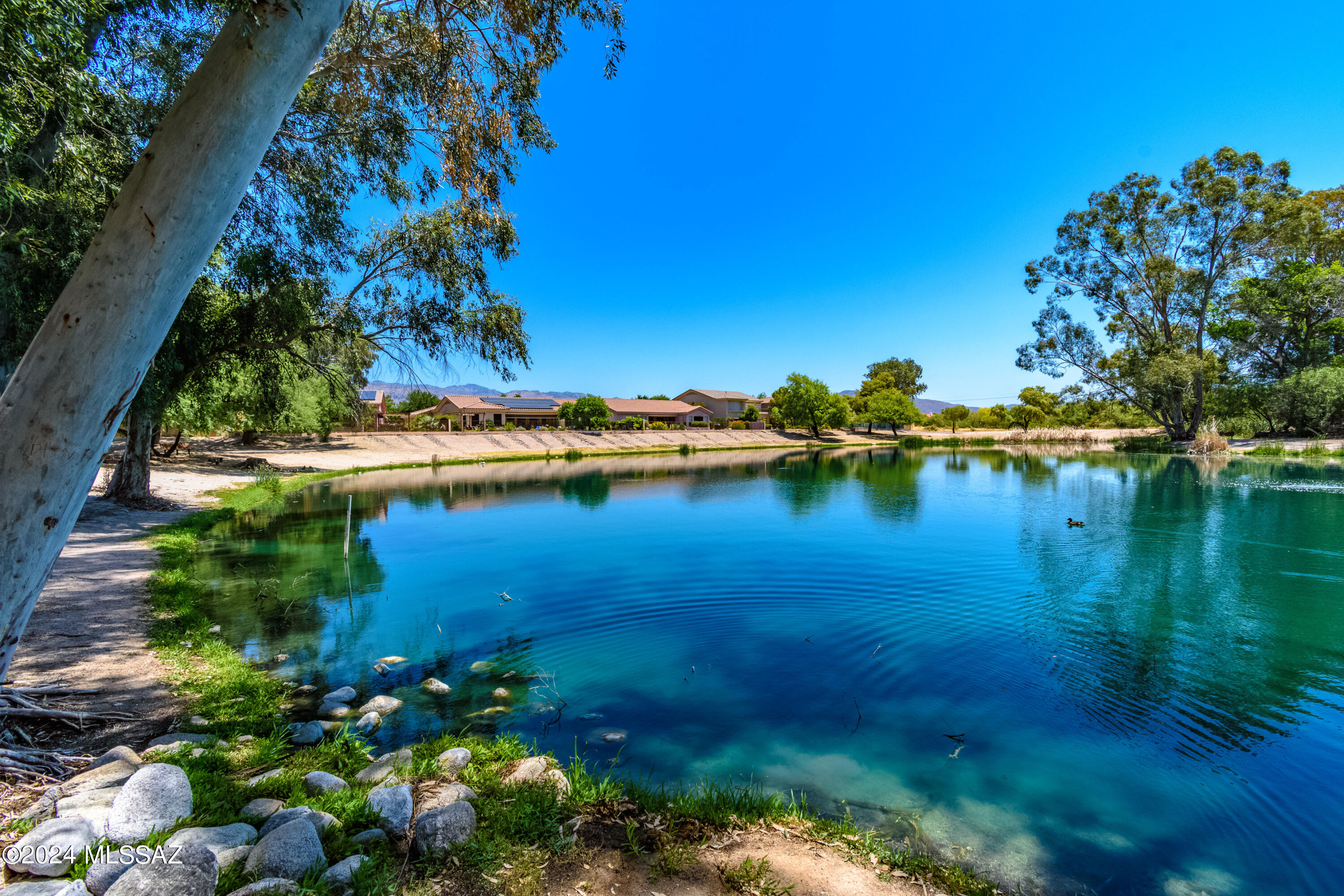 Lakes At Castle Rock (The) - Residential