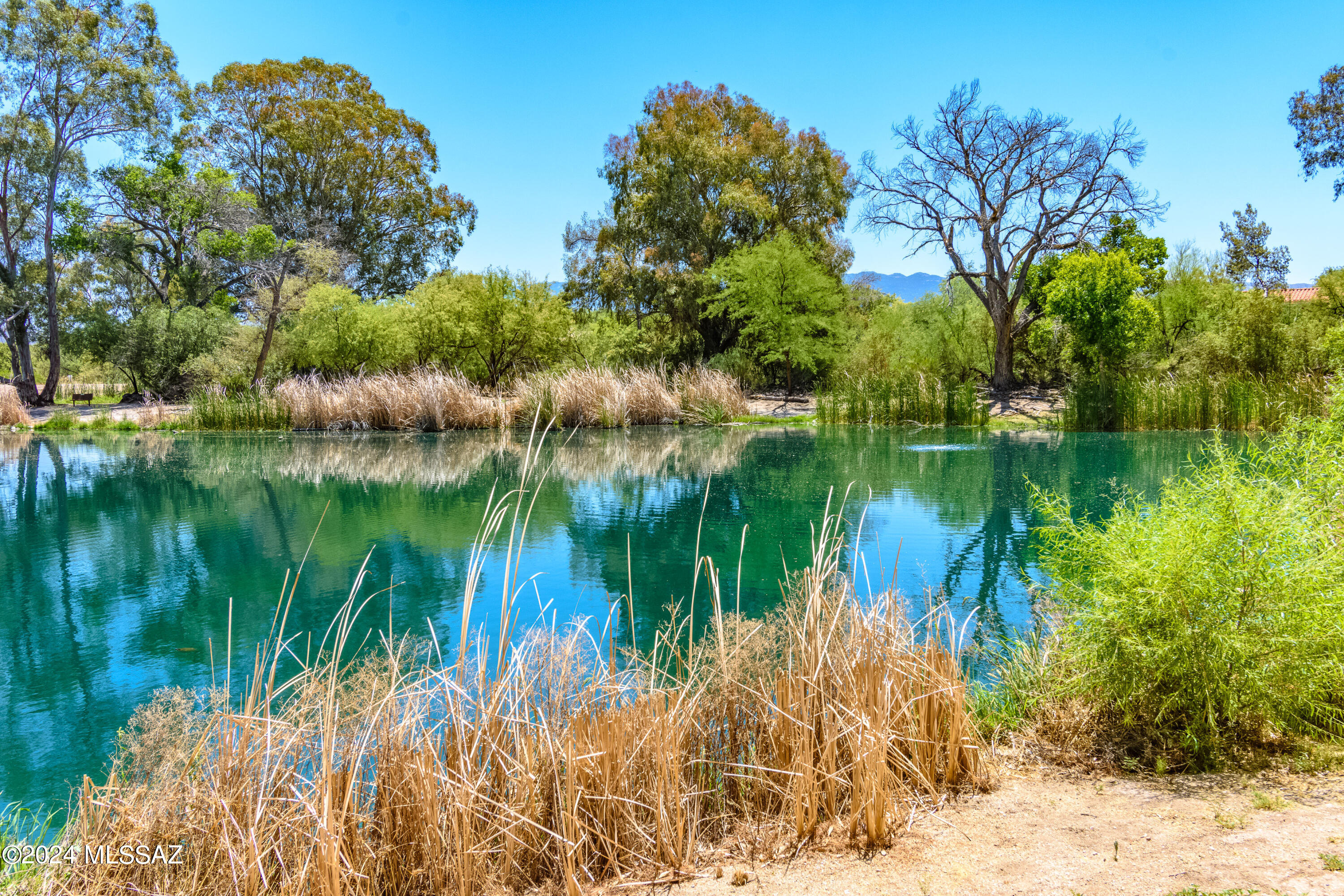 Lakes At Castle Rock (The) - Residential