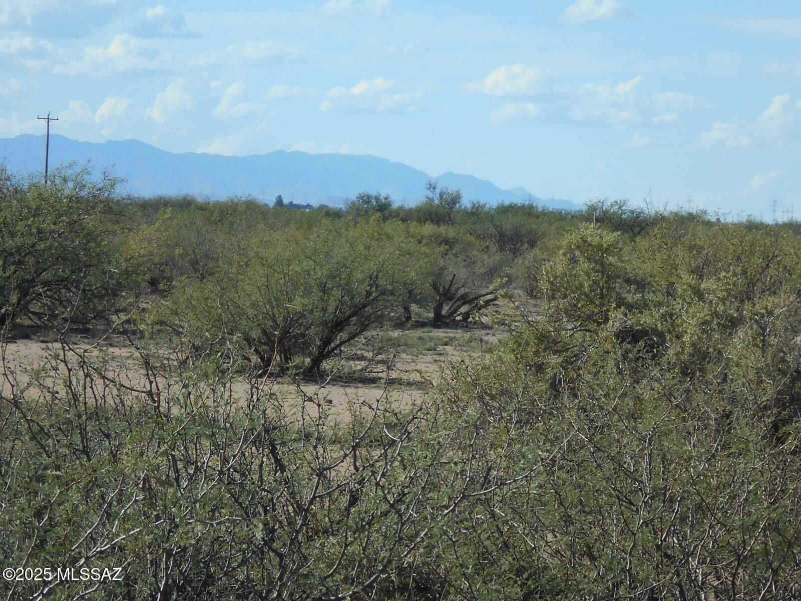Beautiful parcel, just under 37 Acres on Old Stewart Road, just outside of Willcox and very handy to the interstate. This parcel has electricity on 2 sides of it, for easy development, is on a paved road, and has lovely views of the surrounding mountain ranges! Peace and quiet, dark night skies, with a good-sized footprint, privacy, seasonal pond, wildlife galore, and still convenient to all the amenities in Willcox! Build a custom home, new manufactured home, or just have a property to get away to, with plenty of privacy. This would be a great place to build a horse property, small ranch, or just a nice, convenient location, with plenty of elbow room!