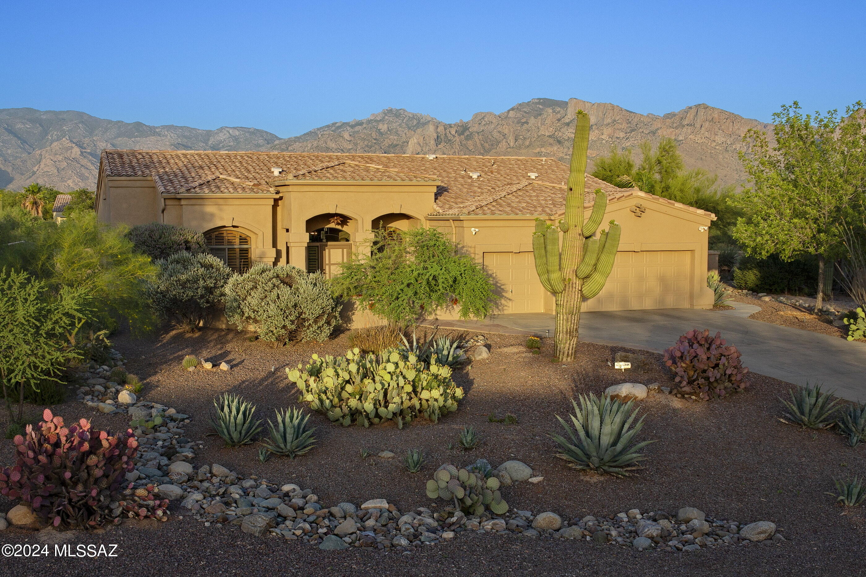Desert Vista (1-205) - Residential