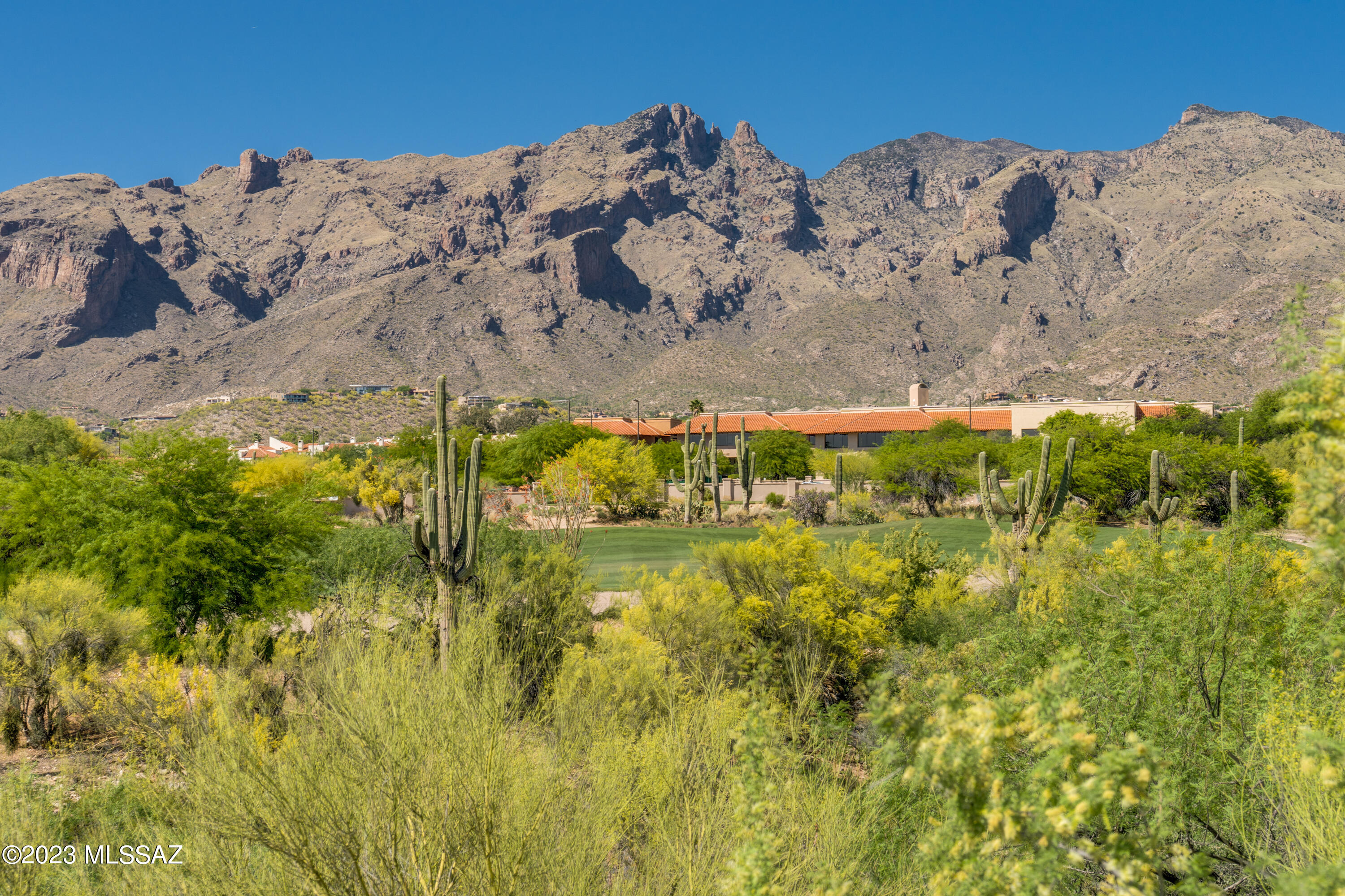 Village Five At the Villages Of La Paloma (1-71) - Residential