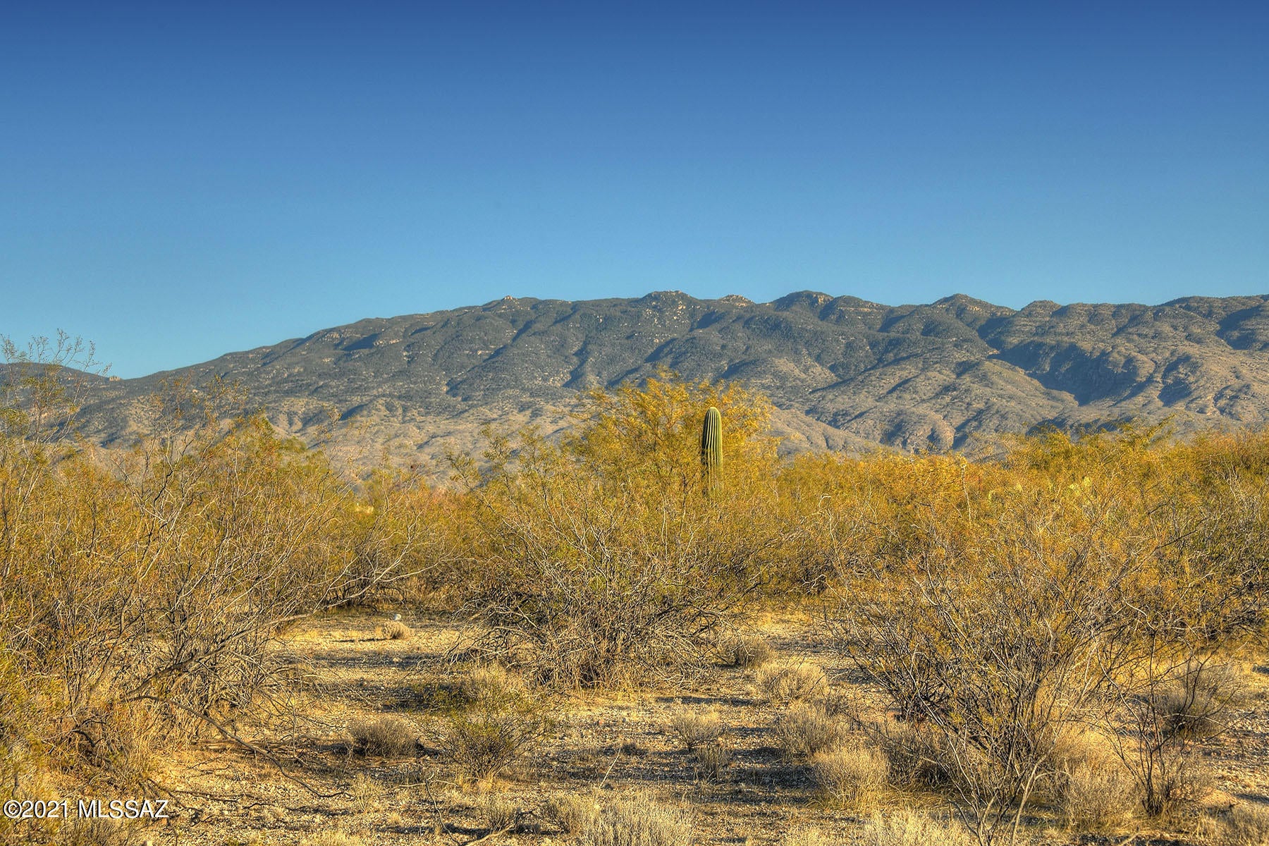 Rancho Soldados - Land