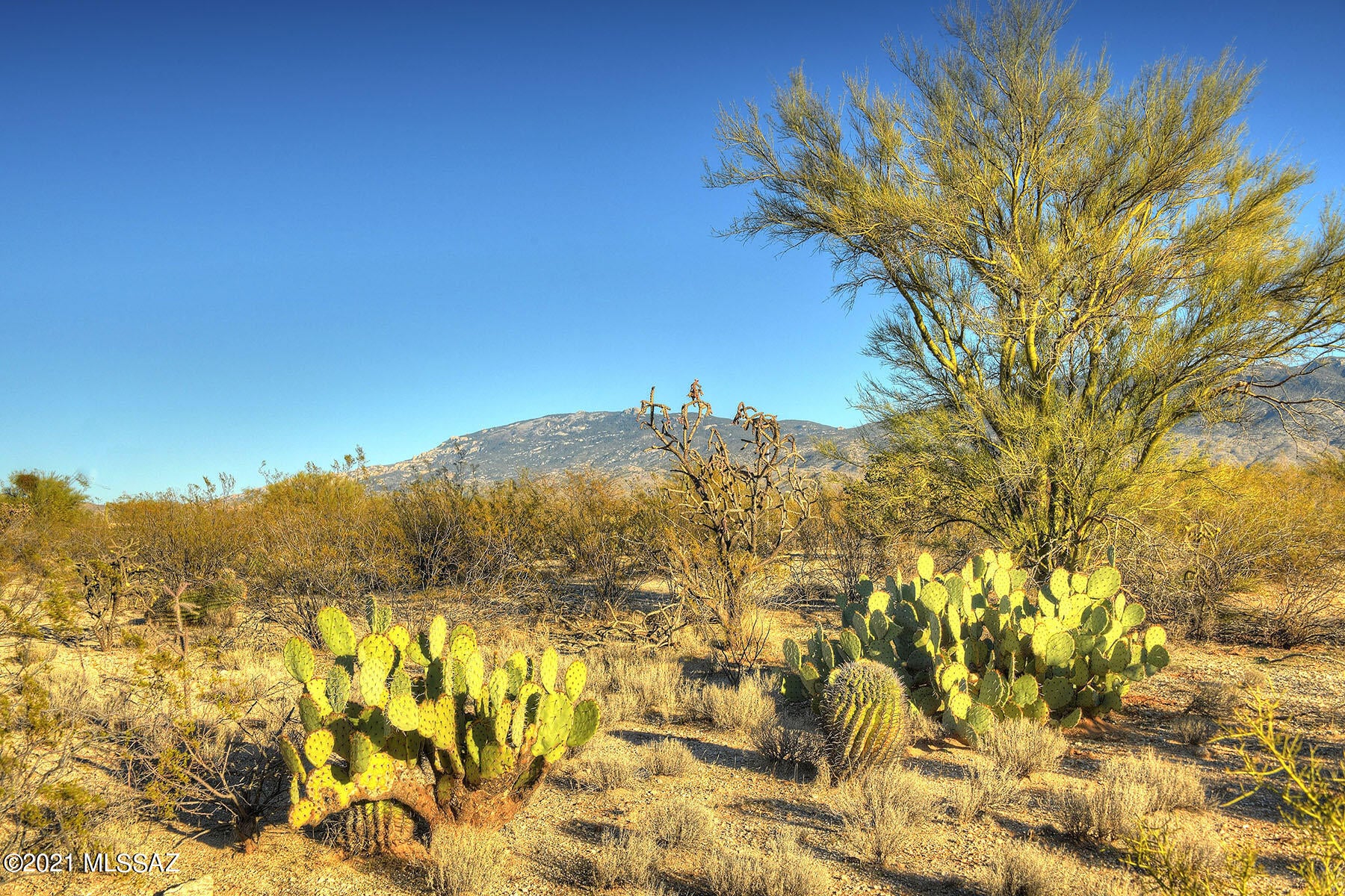 Rancho Soldados - Land