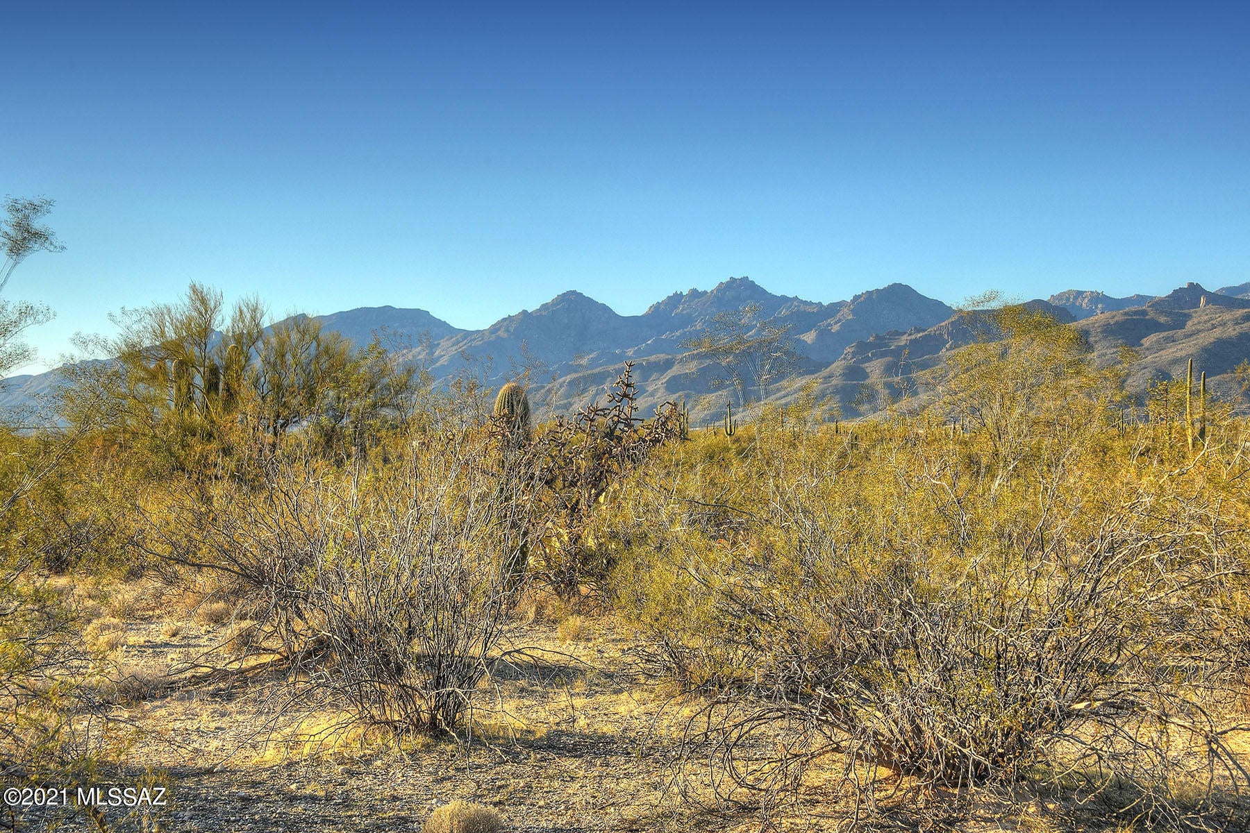 Rancho Soldados - Land