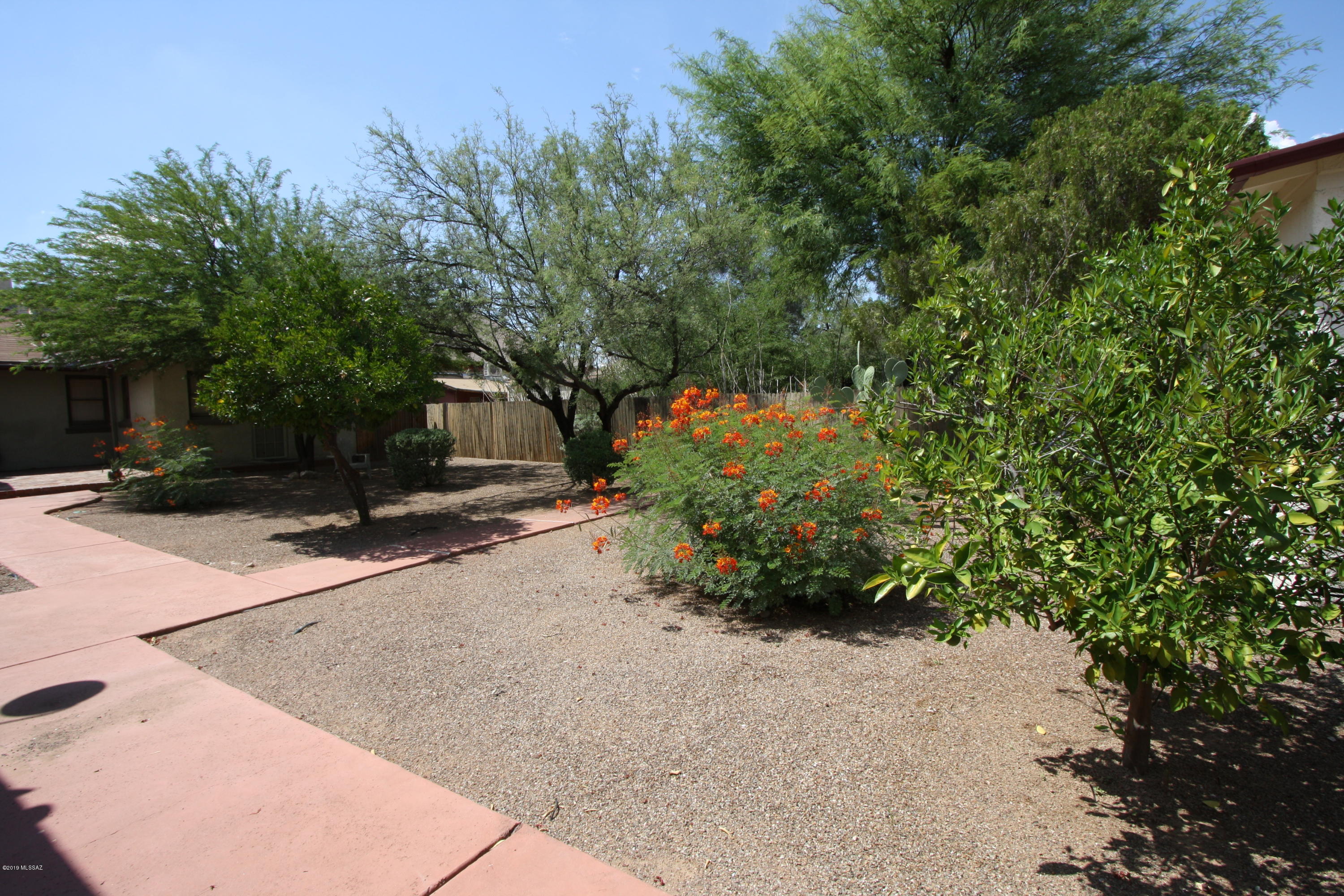 Tucson - Residential Lease