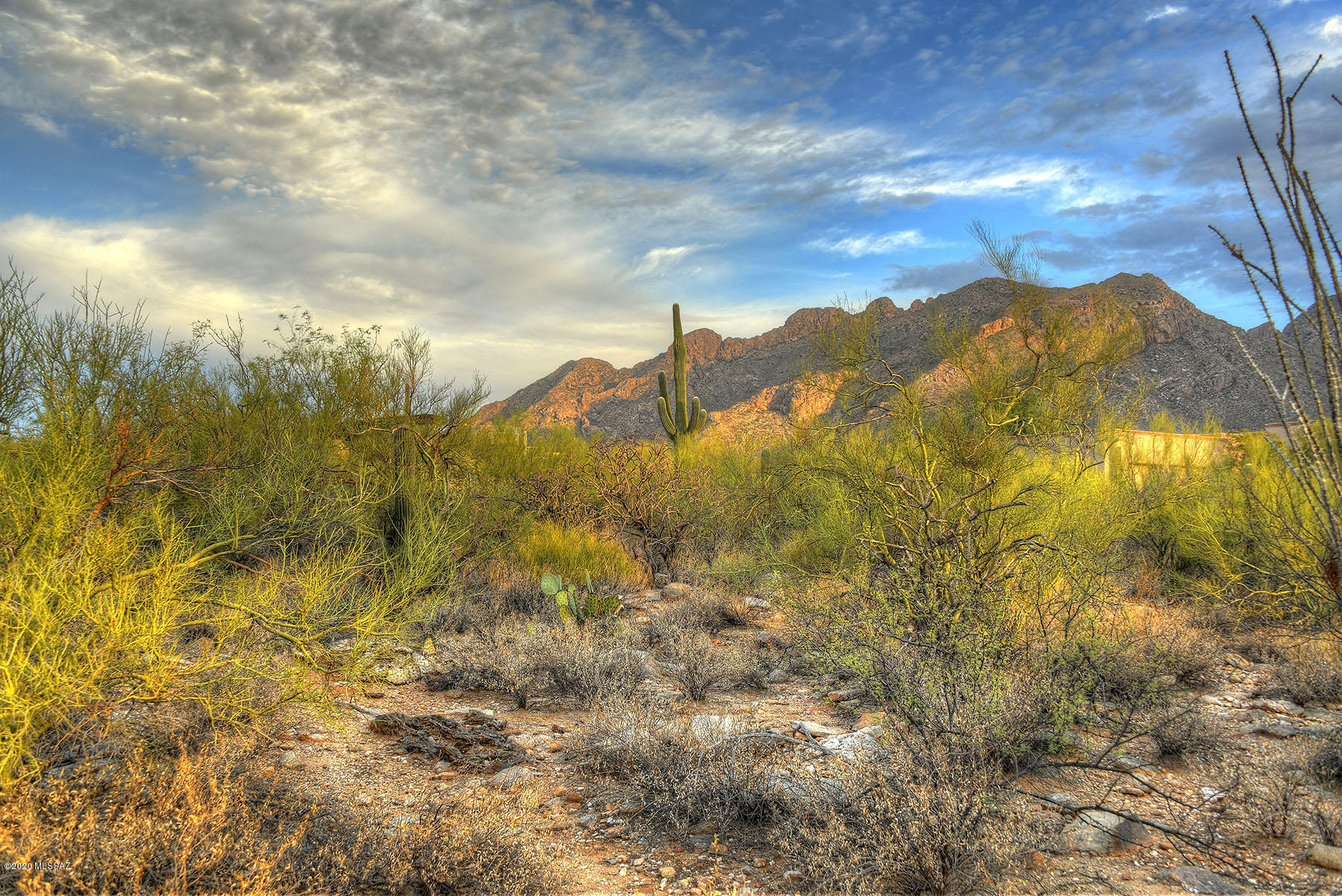 Pima Canyon Estates (1-176) - Land