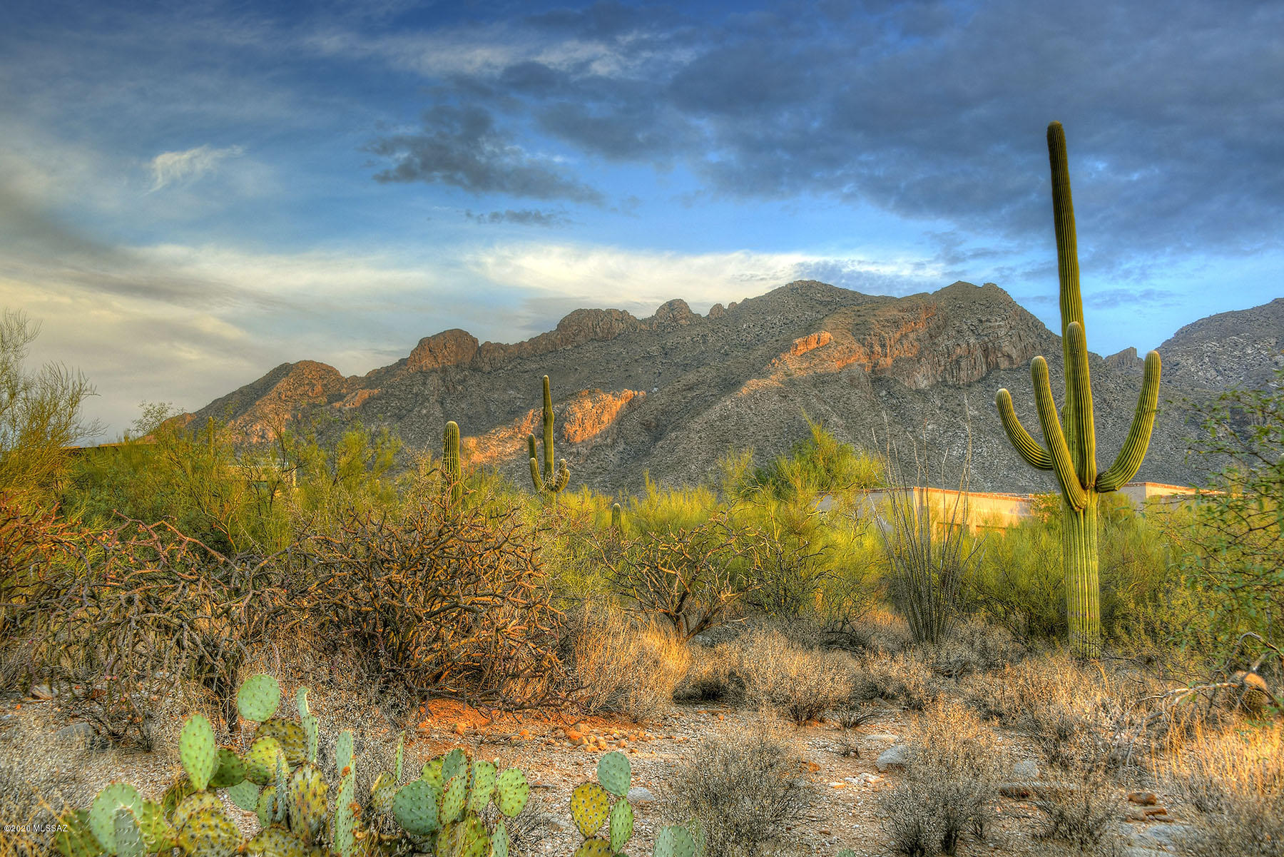 Pima Canyon Estates (1-176) - Land
