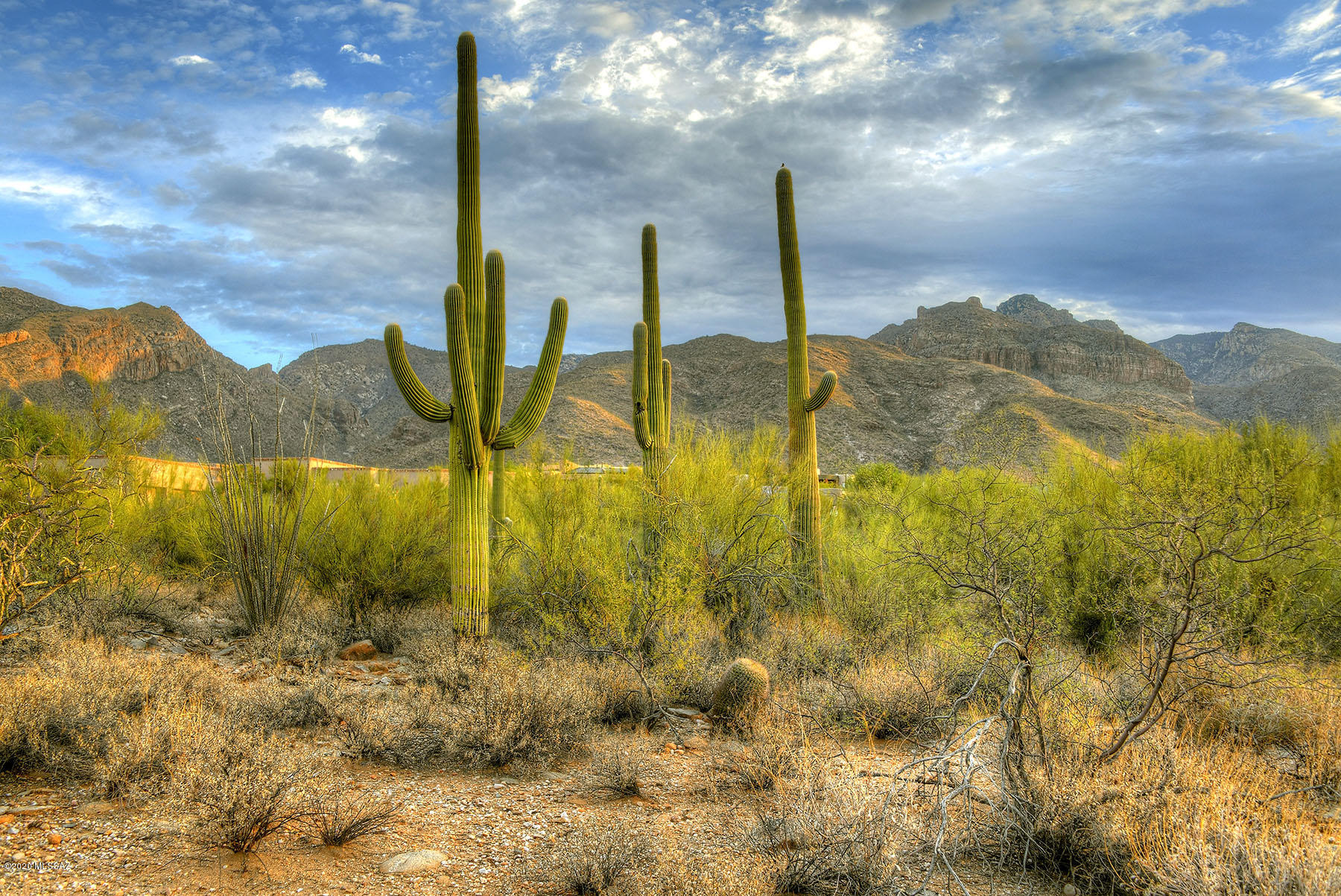 Pima Canyon Estates (1-176) - Land