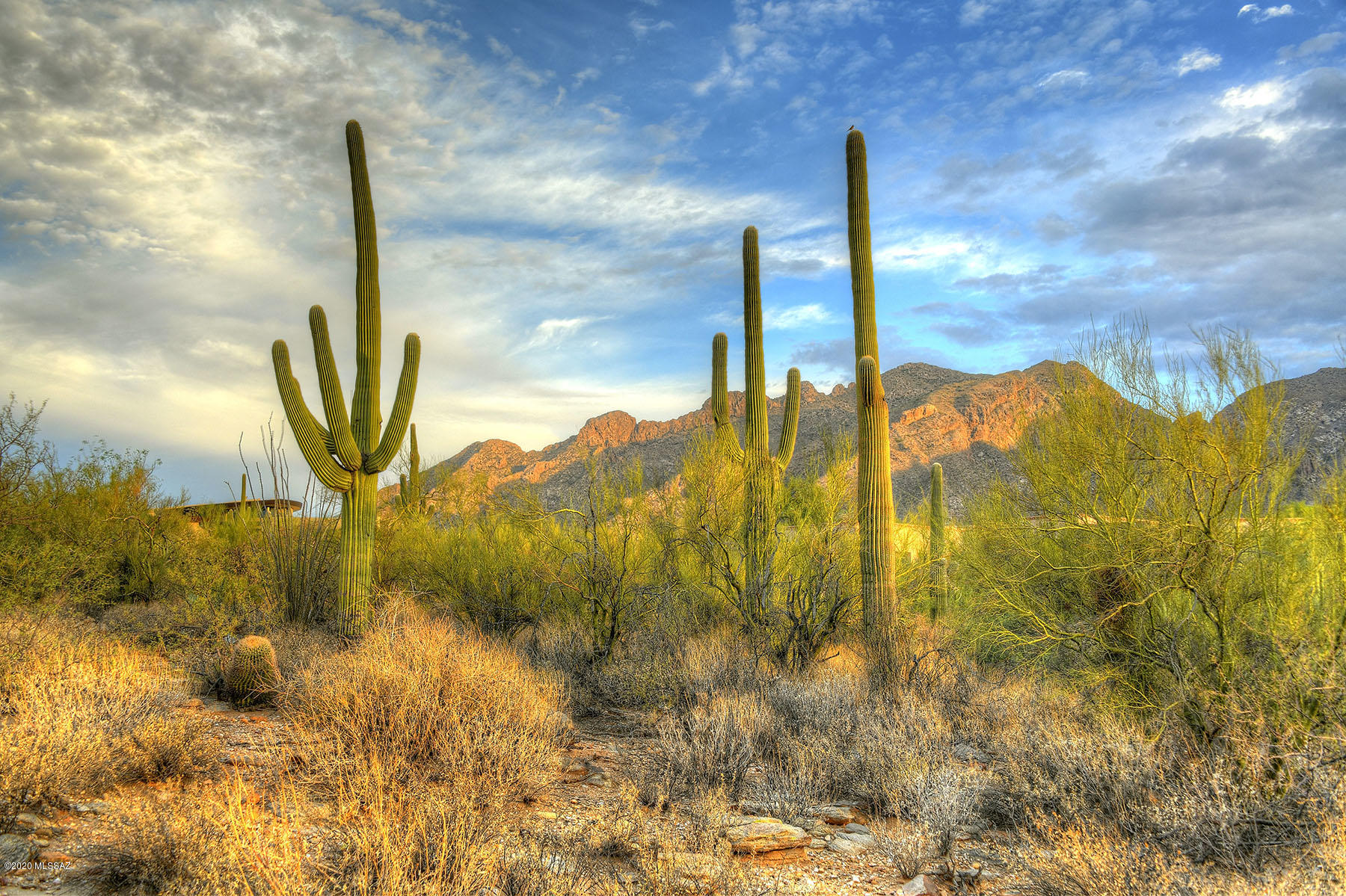 Pima Canyon Estates (1-176) - Land