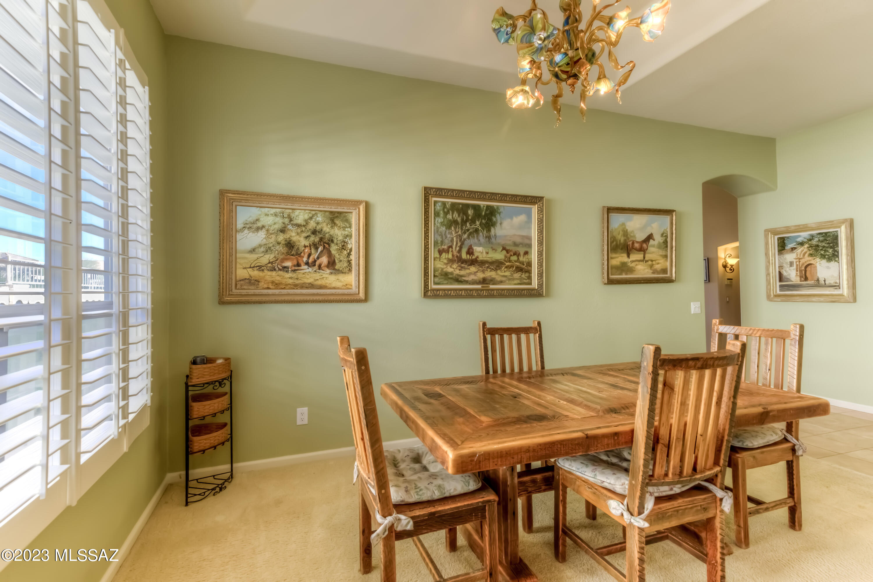 Saddlebrooke - Residential