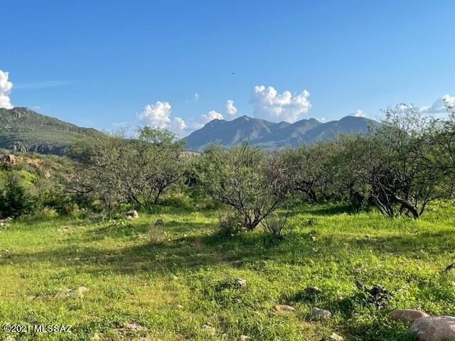 Tubac Foothills Ranch - Land