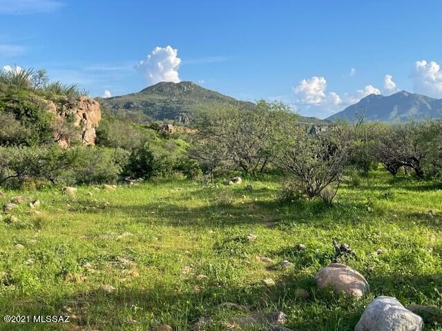 Tubac Foothills Ranch - Land