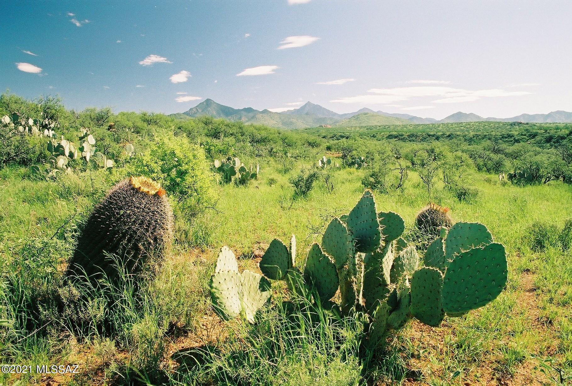 Tubac Foothills Ranch - Land