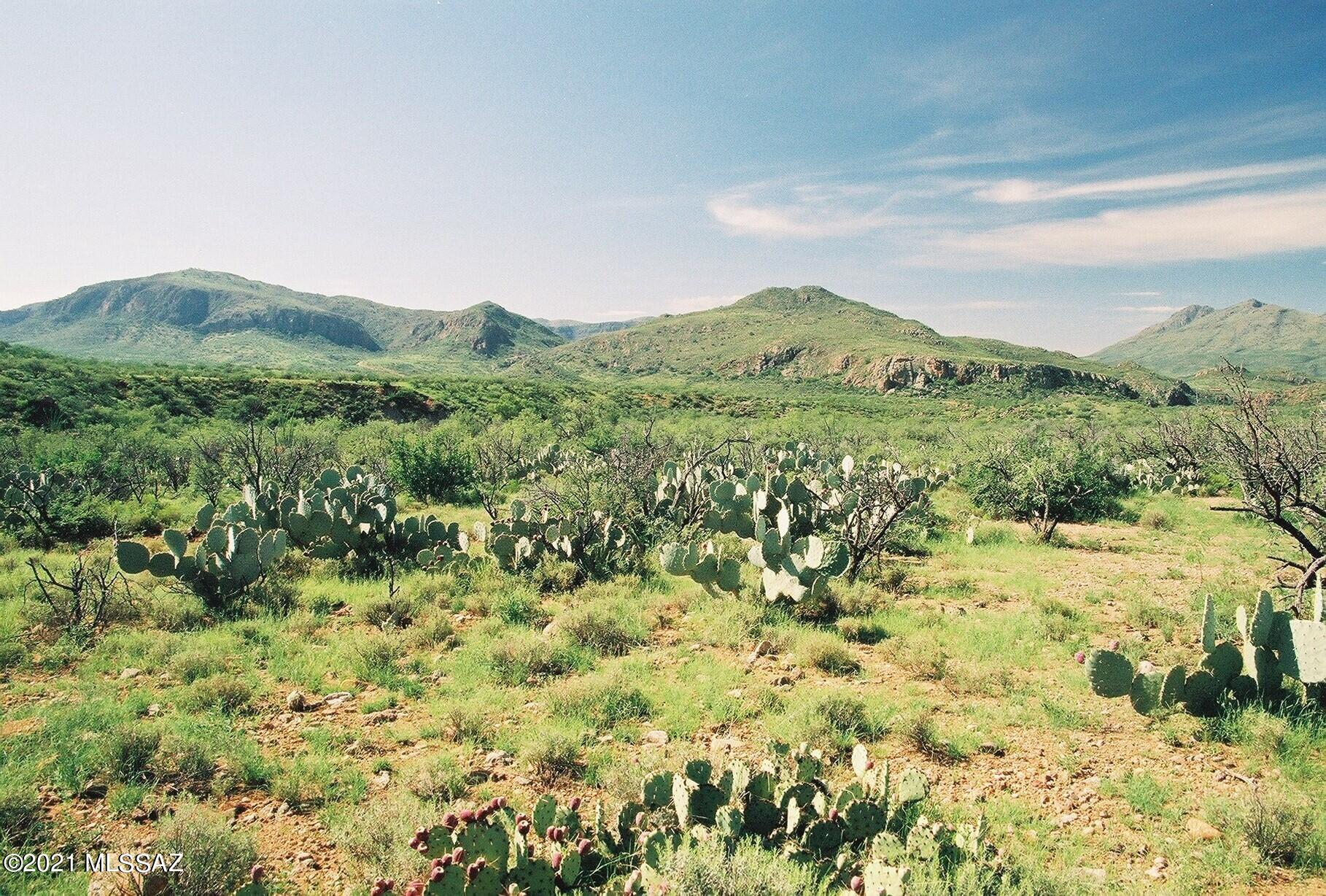 Tubac Foothills Ranch - Land