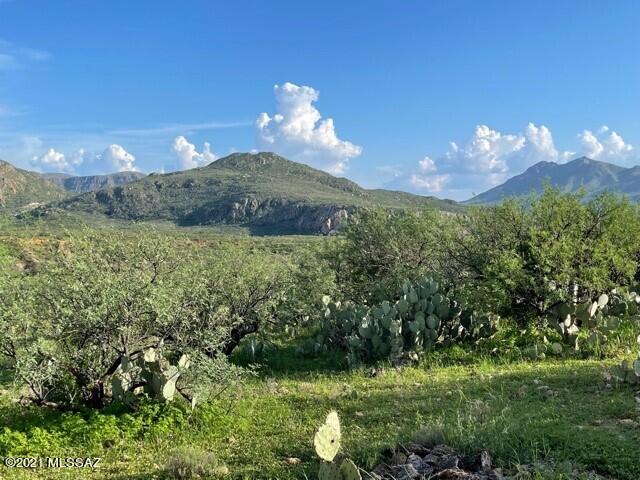 Tubac Foothills Ranch - Land