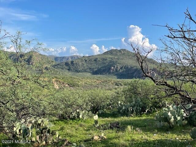 Tubac Foothills Ranch - Land