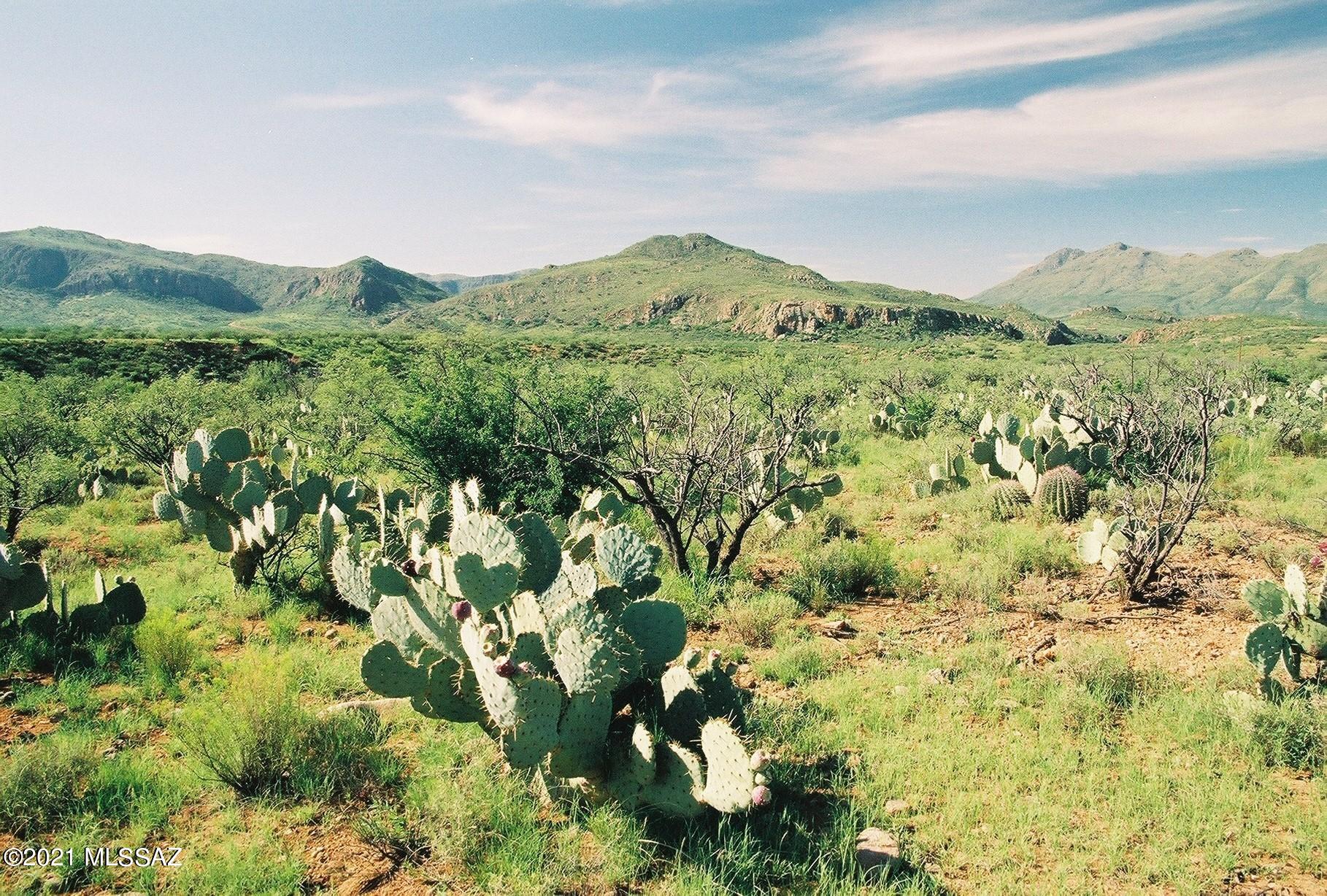 Tubac Foothills Ranch - Land