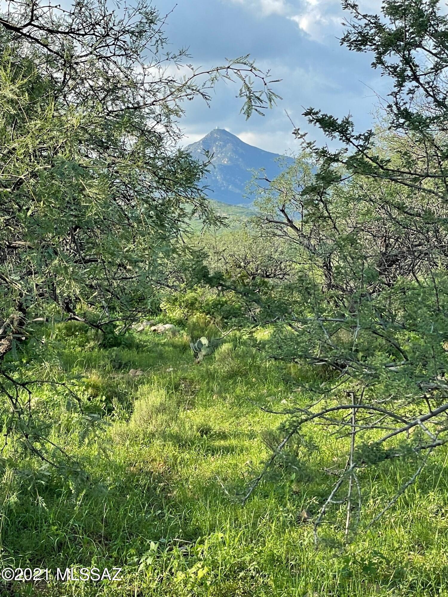 Tubac Foothills Ranch - Land