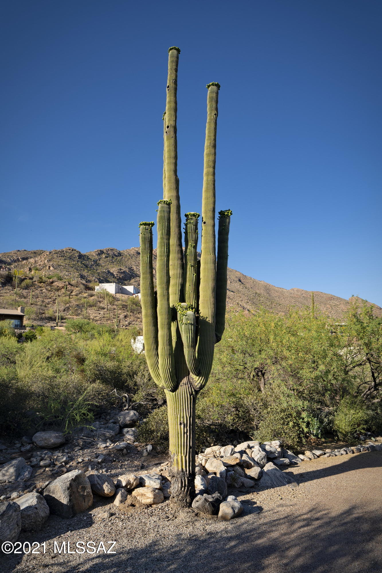 Coronado Foothills Estates - Residential