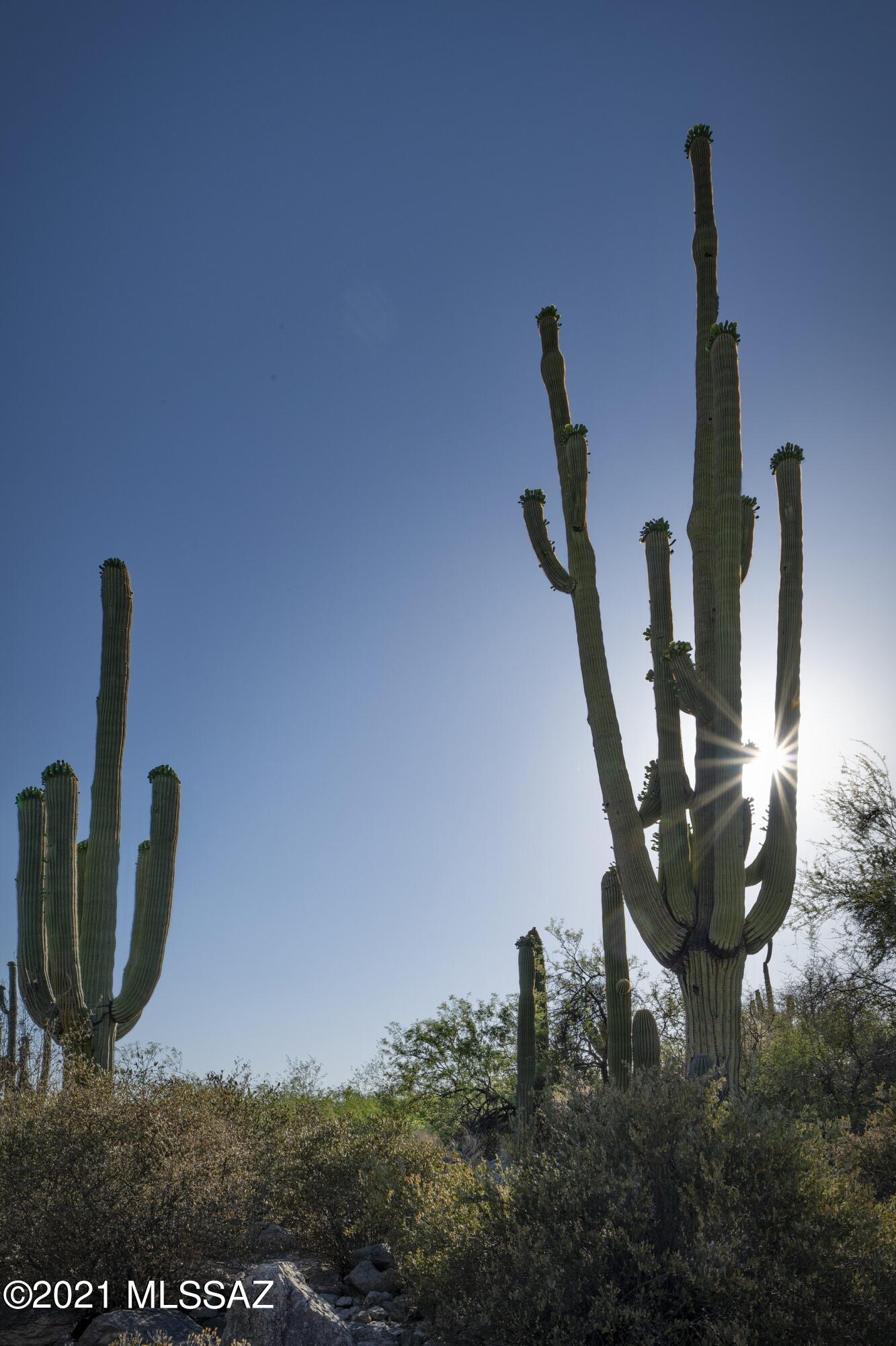 Coronado Foothills Estates - Residential