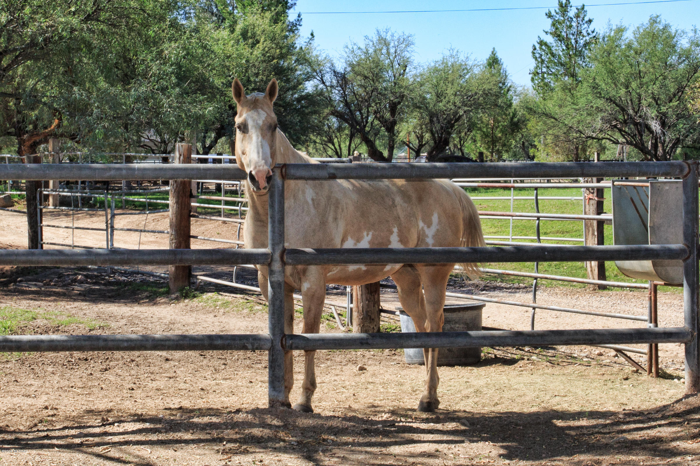 Tanque Verde Country Estates - Residential